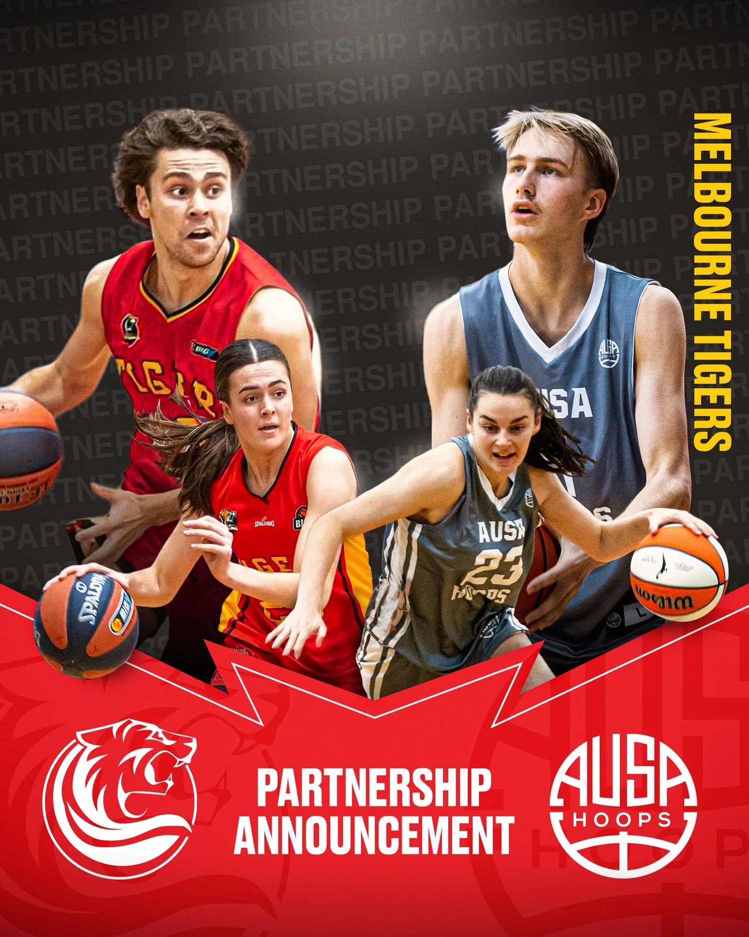 Melbourne Tigers and AUSA Hoops partnership announcement graphic featuring junior players from both programs
