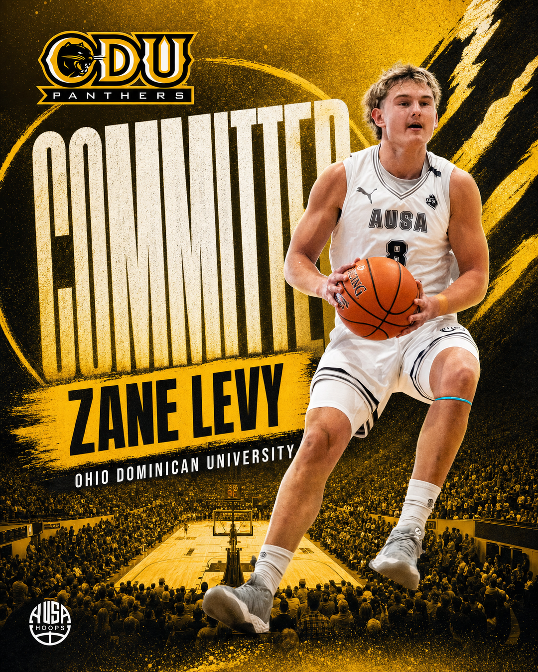 Zane Levy Commits to Ohio Dominican University — commitment graphic